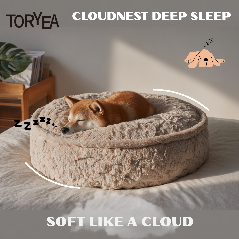 CloudNest (rectangular)