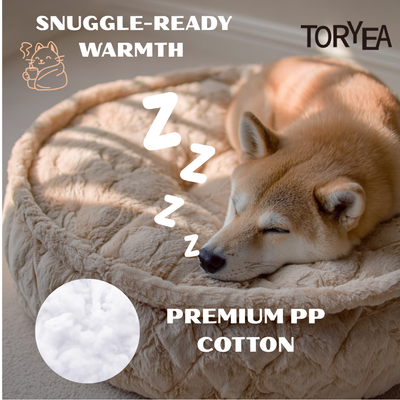 CloudNest（round）