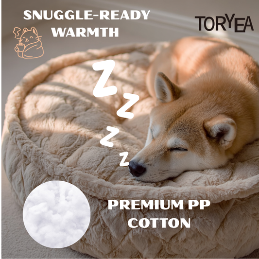 CloudNest（round）