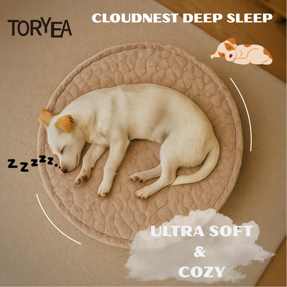 CloudNest（round）