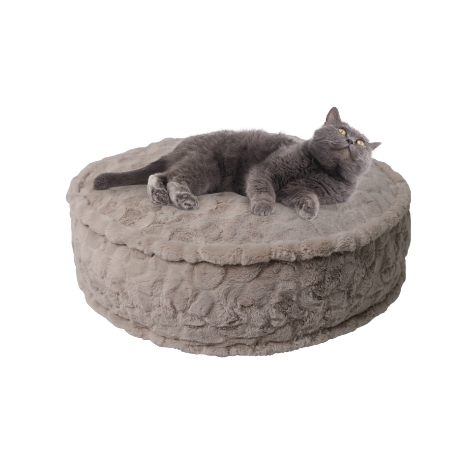 CloudNest（round）