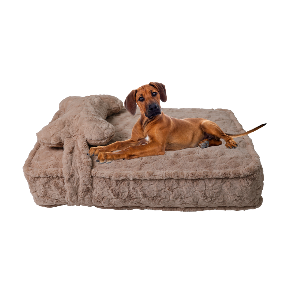 CloudNest (rectangular)